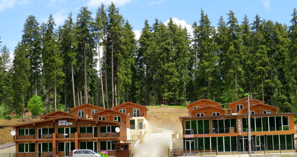 באקוריאני Chalet Kokhta מראה חיצוני תמונה