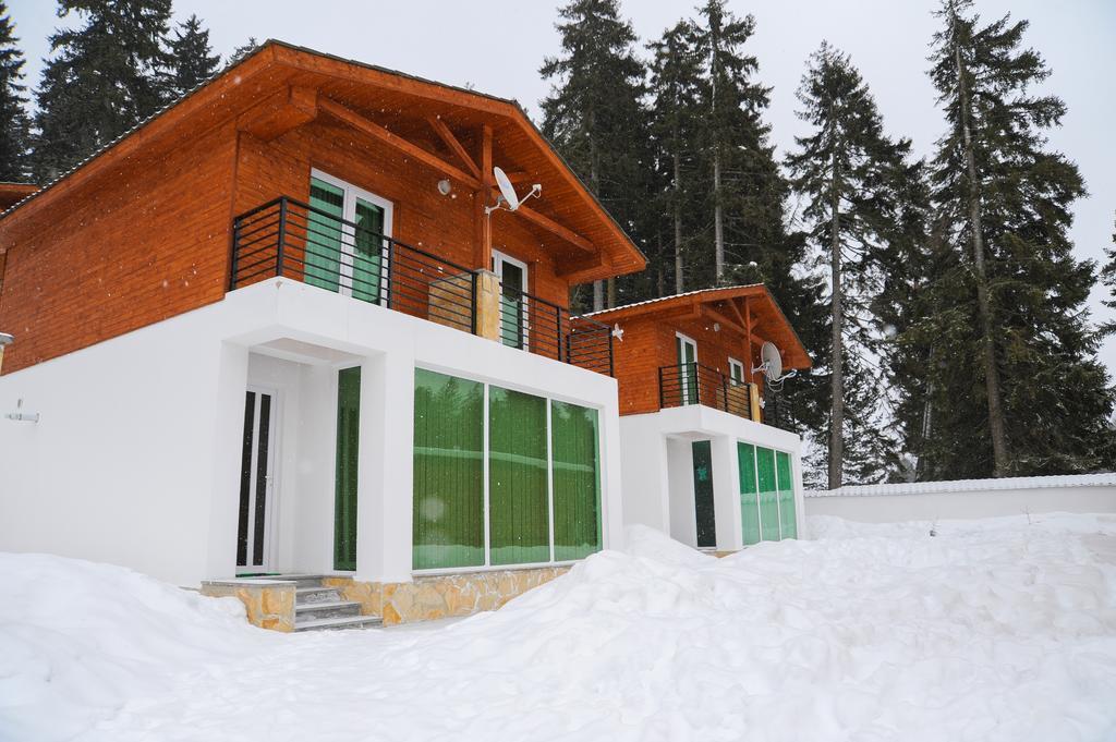 באקוריאני Chalet Kokhta מראה חיצוני תמונה